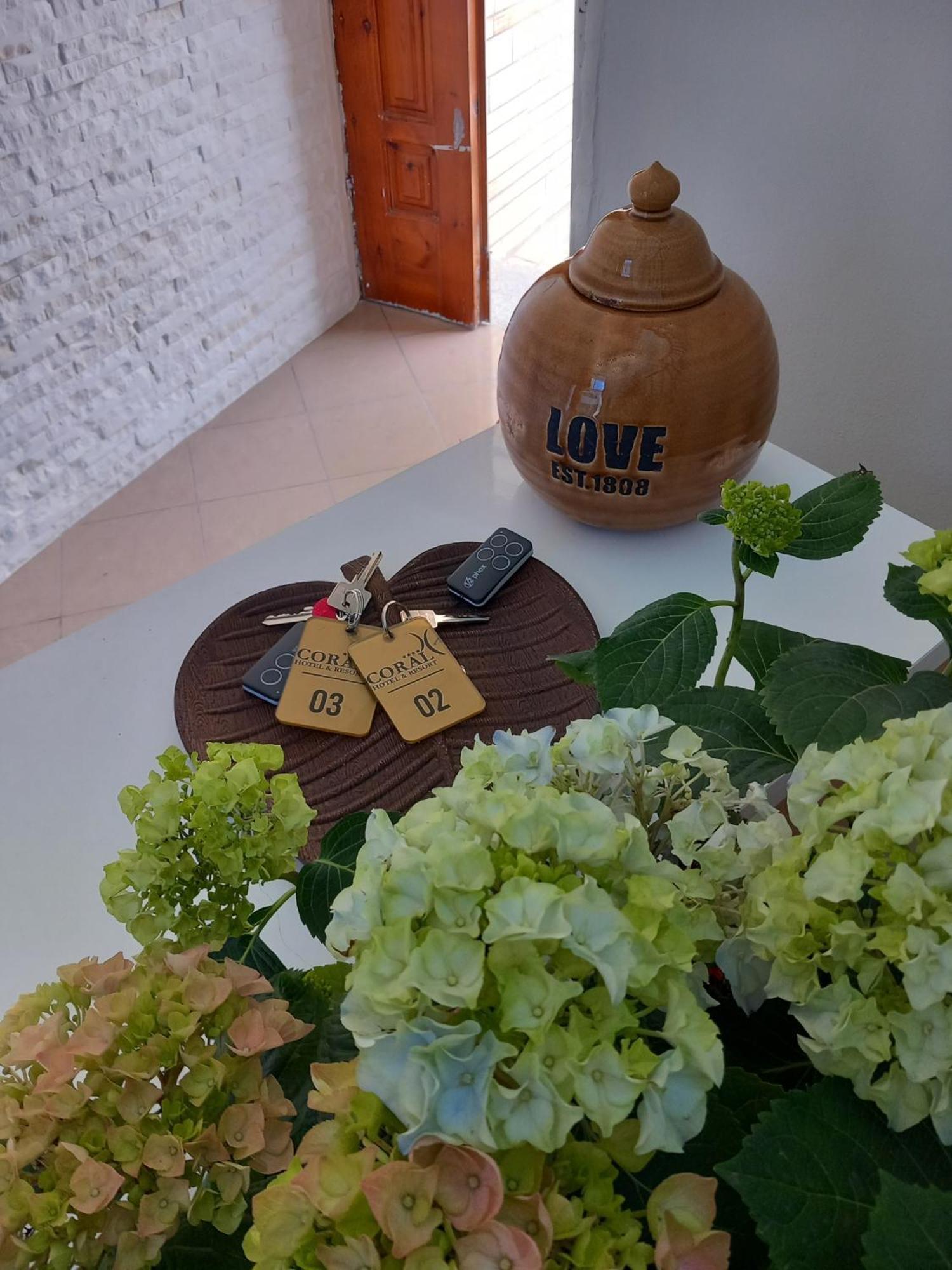 Ida Vlorë